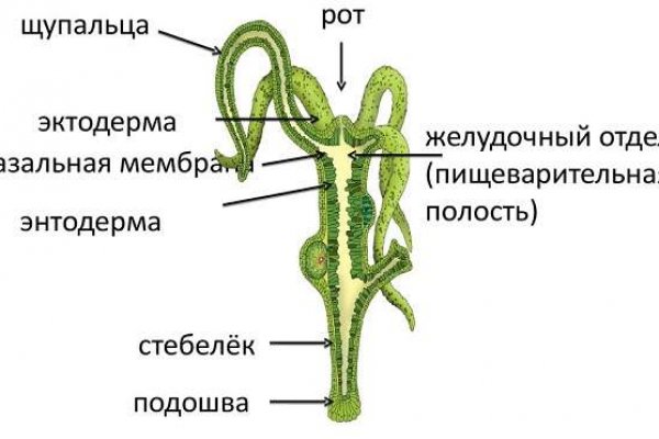 Кракен сайт 18